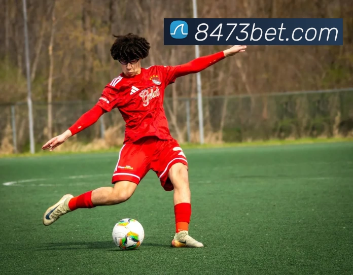 8473新葡京官网平台生态图